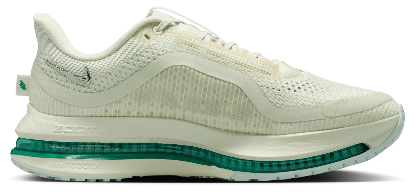 Nike Pegasus Premium - Sea Glass/Mtlc Silver/Malachite - Image 1