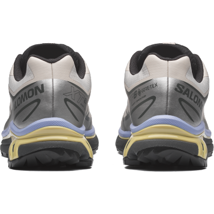 Salomon XT-6 GORE-TEX - Silver Cloud / Urban Chic / Shadow Green - View 6