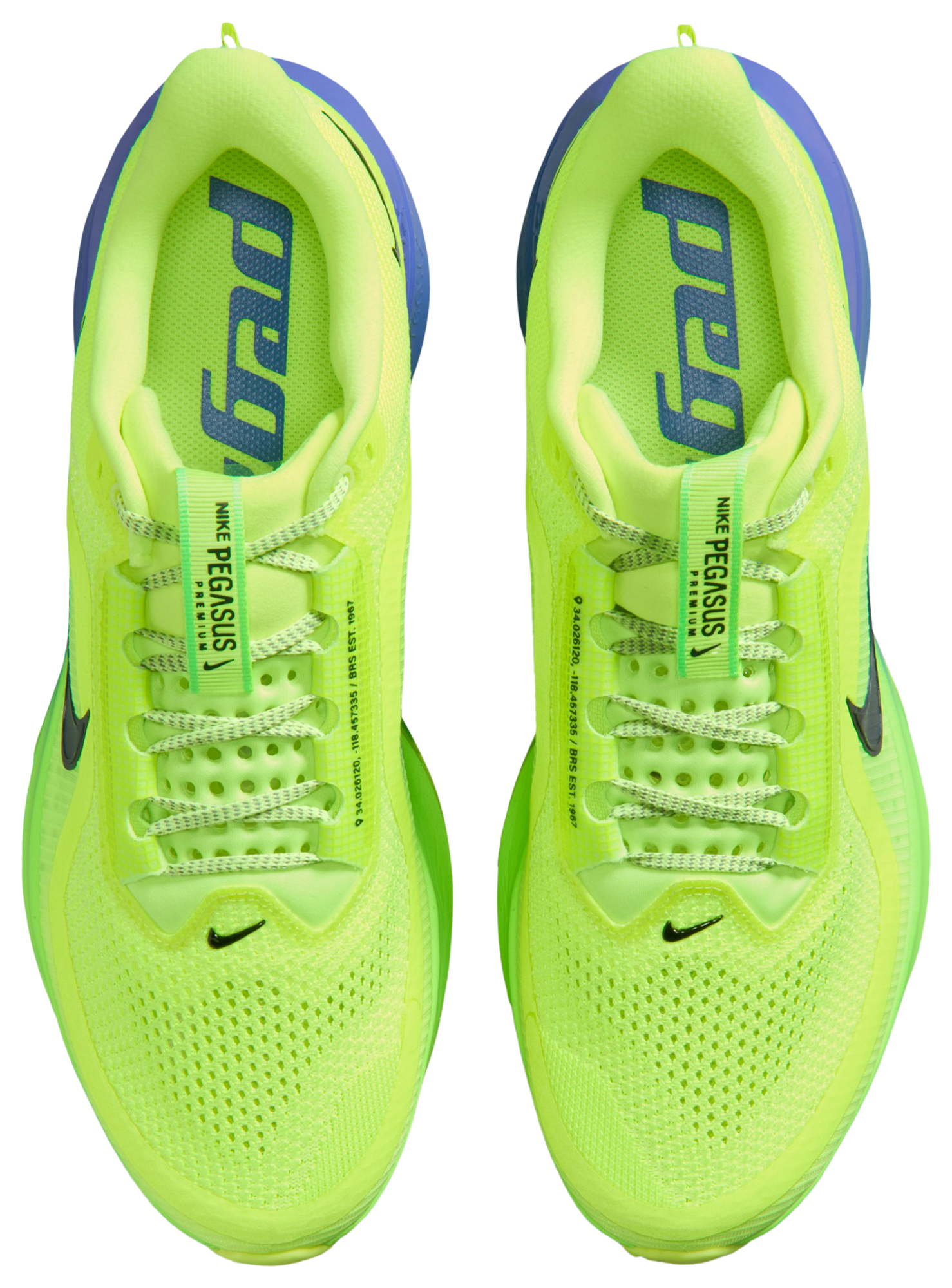 Nike Pegasus Premium - Volt Ice/Black Spruce/Lime Blast - Image 4
