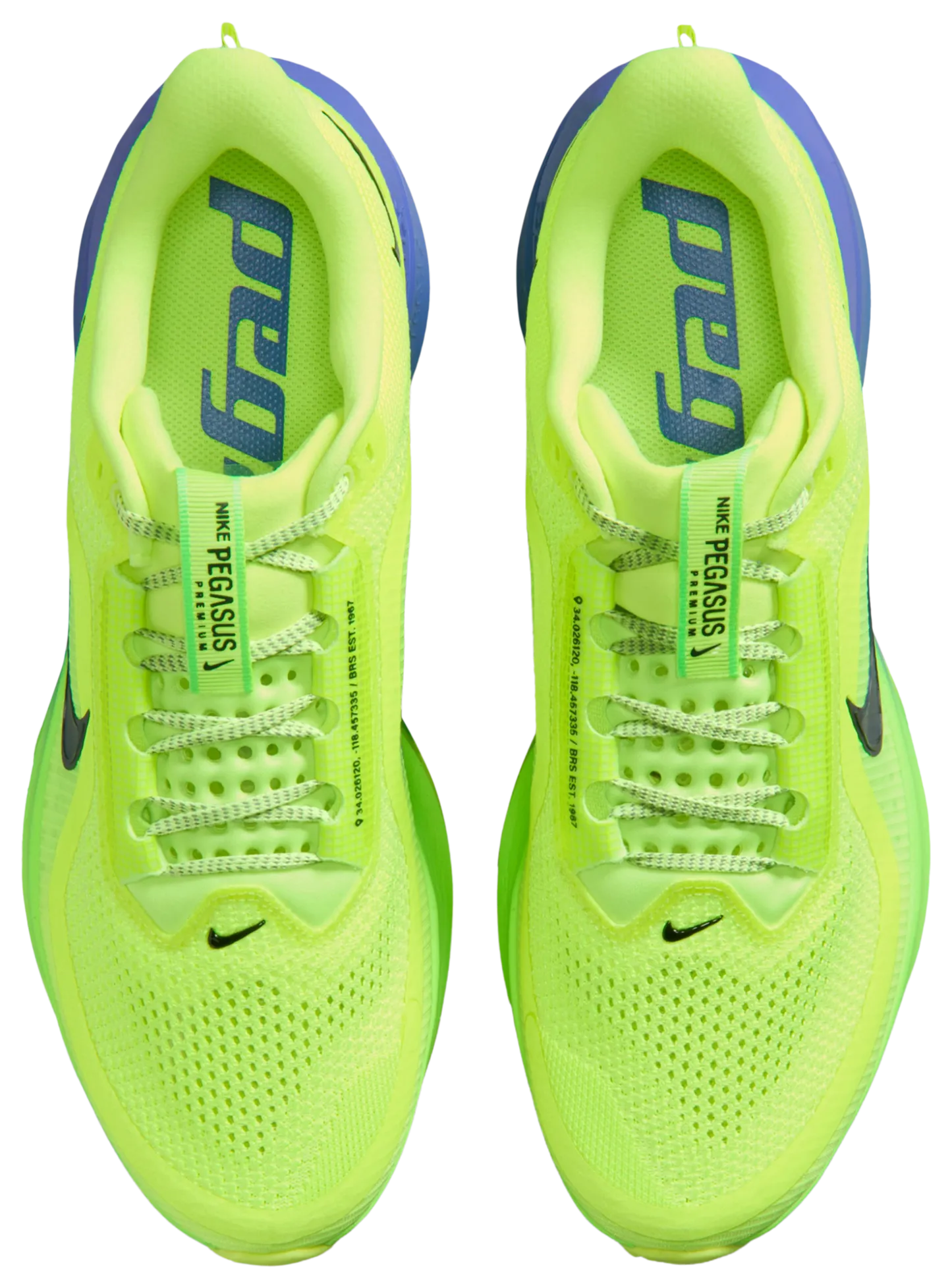 Nike Pegasus Premium - Volt Ice/Black Spruce/Lime Blast - Image 4