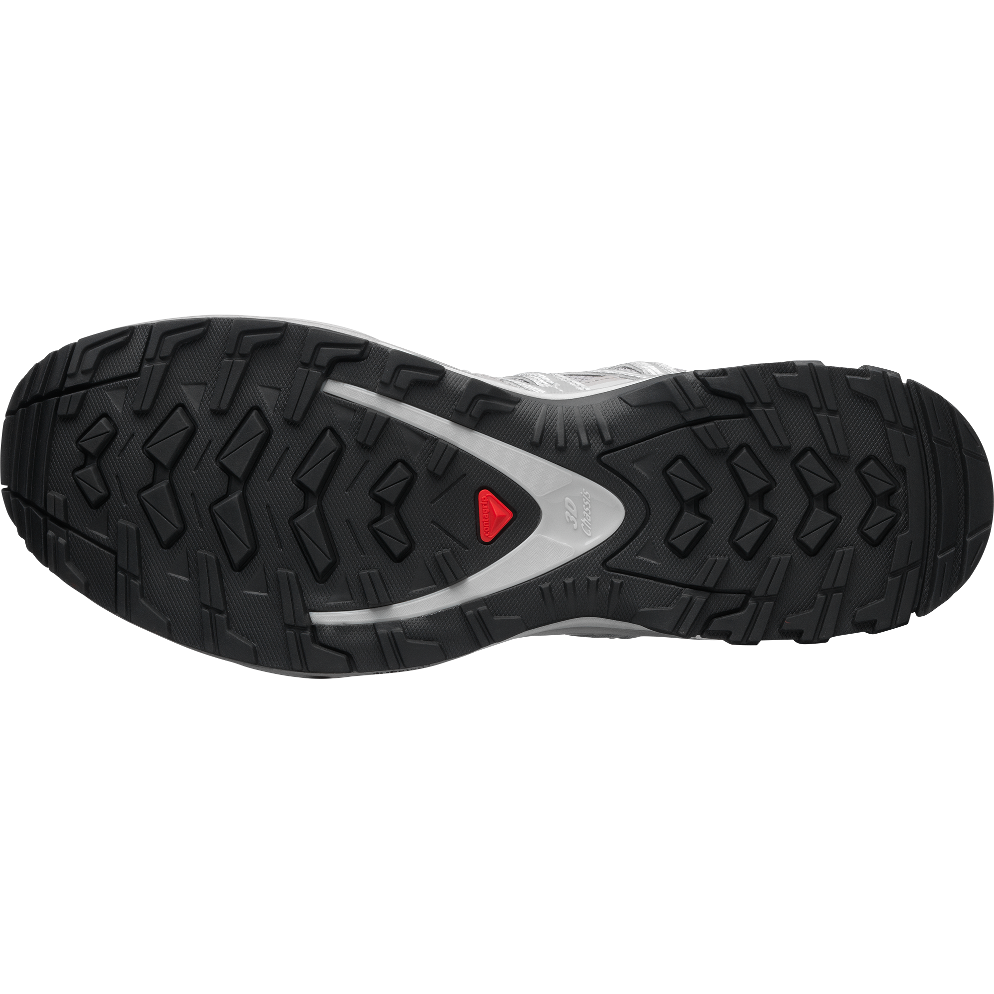 Salomon XA PRO 3D - Alloy / Ftw Silver / Lunar Rock - View 5