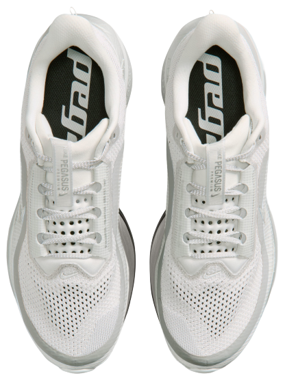 Nike Pegasus Premium RR - Metallic Silver/Photon Dust/Black - Image 4