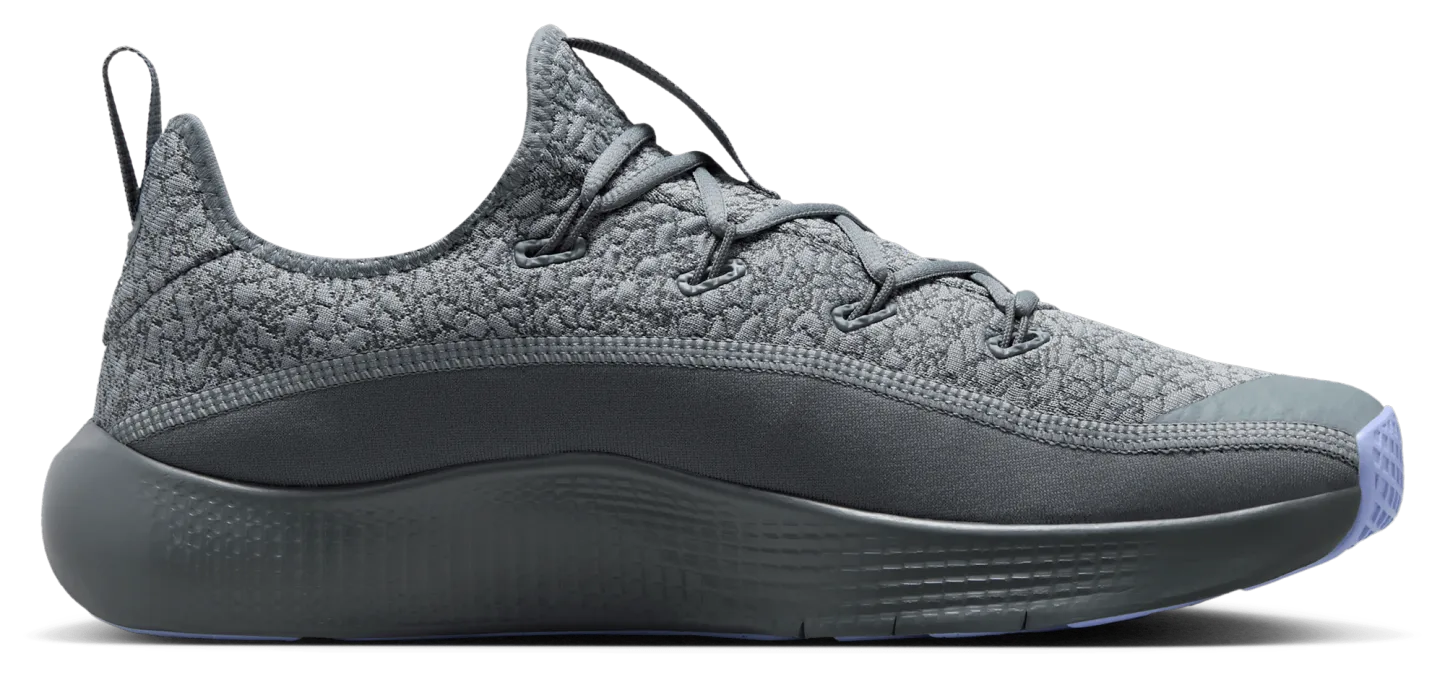 Nike Lebron TR 1 - Cool Grey/Aluminum/Iron Grey - Image 1