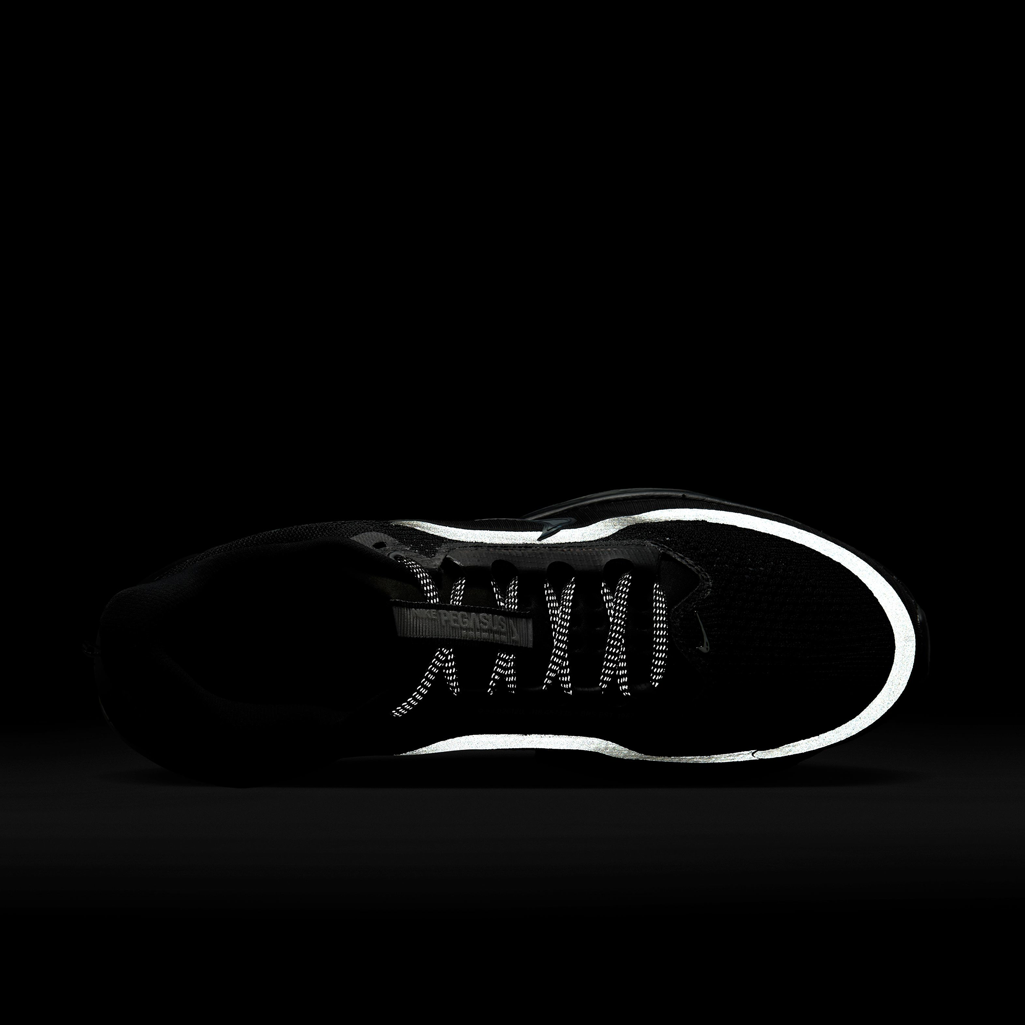 Nike Pegasus Premium - Black/Black/Metallic Silver - Image 8