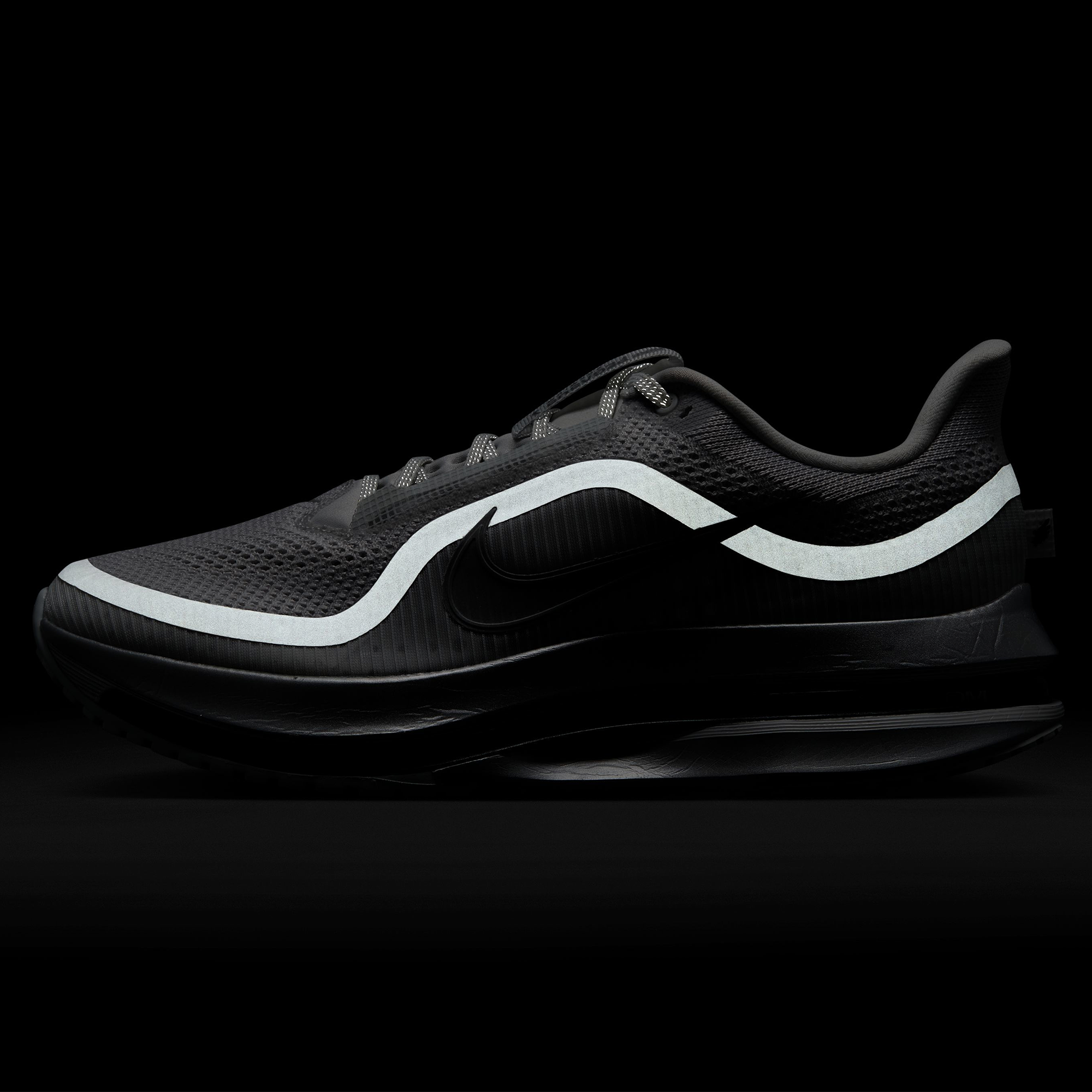 Nike Pegasus Premium RR - Metallic Silver/Photon Dust/Black - Image 6