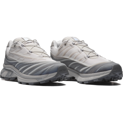Salomon XT-EVO - Alloy / Castlerock / Ftw Silver - View 6