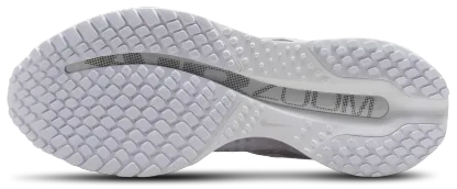 Nike Pegasus Premium - Metallic Silver/White - Image 5