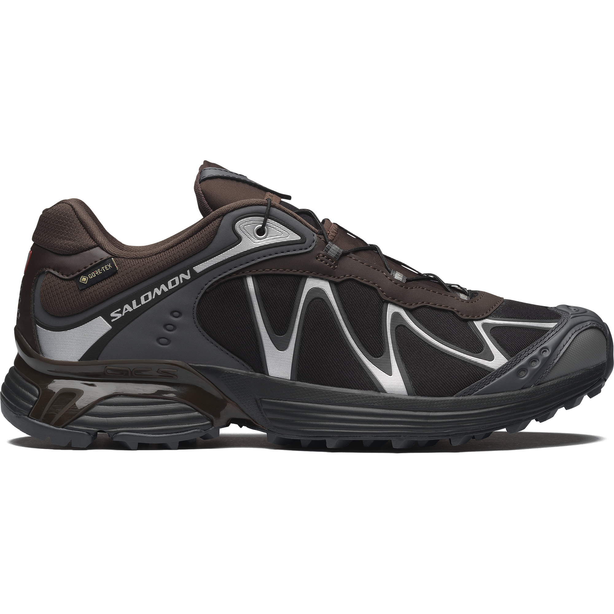 Salomon XT-WHISPER GORE-TEX - Delicioso / Asphalt / Castlerock - View 1