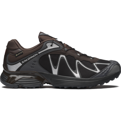Salomon XT-WHISPER GORE-TEX - Delicioso / Asphalt / Castlerock - View 1