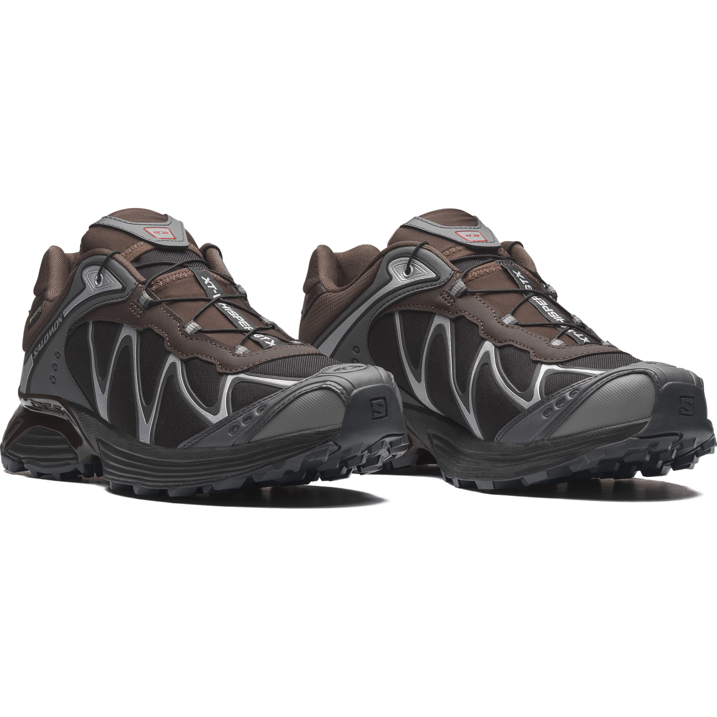 Salomon XT-WHISPER GORE-TEX - Delicioso / Asphalt / Castlerock - View 3