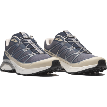 Salomon XT-PATHWAY 2 - Grisaille / Ftw Silver / Rainy Day - View 5