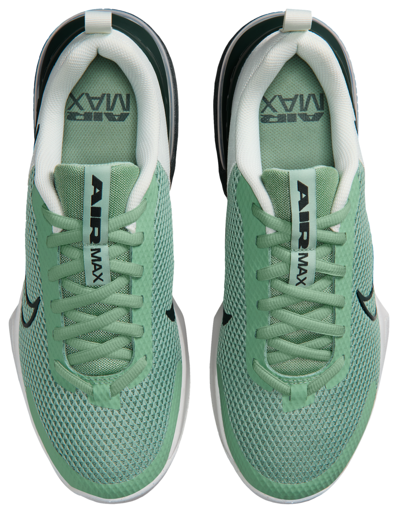 Nike Air Max Alpha Trainer 6 - Steam/Black Spruce/Spruce Aura - Image 4