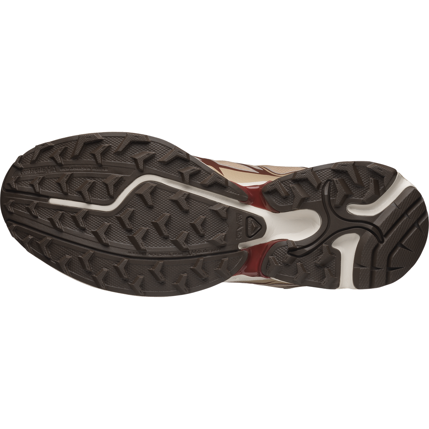 Salomon XT-PATHWAY GORE-TEX - Desert Tan / Bitter Chocolate / Rainy Day - View 5