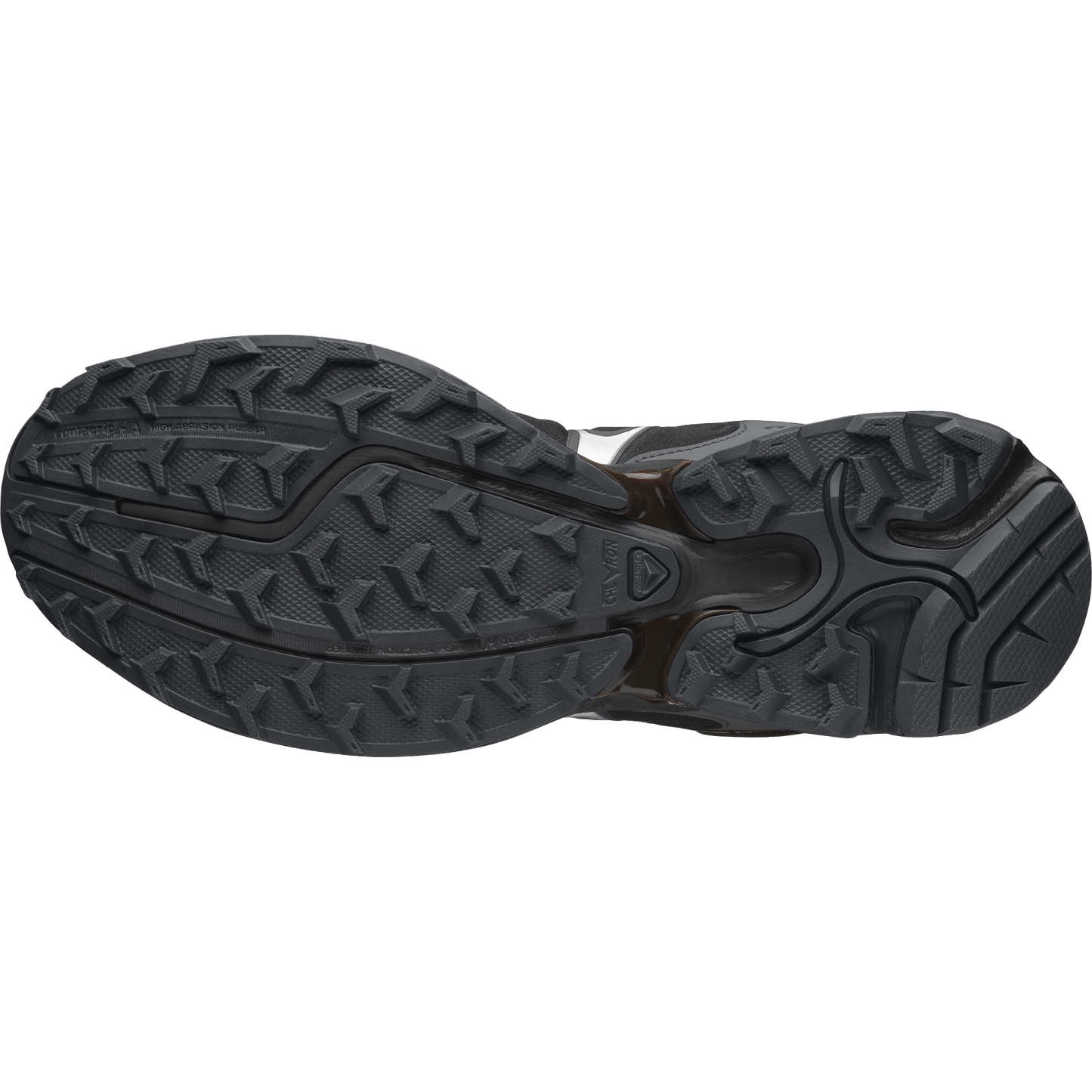 Salomon XT-WHISPER GORE-TEX - Delicioso / Asphalt / Castlerock - View 5