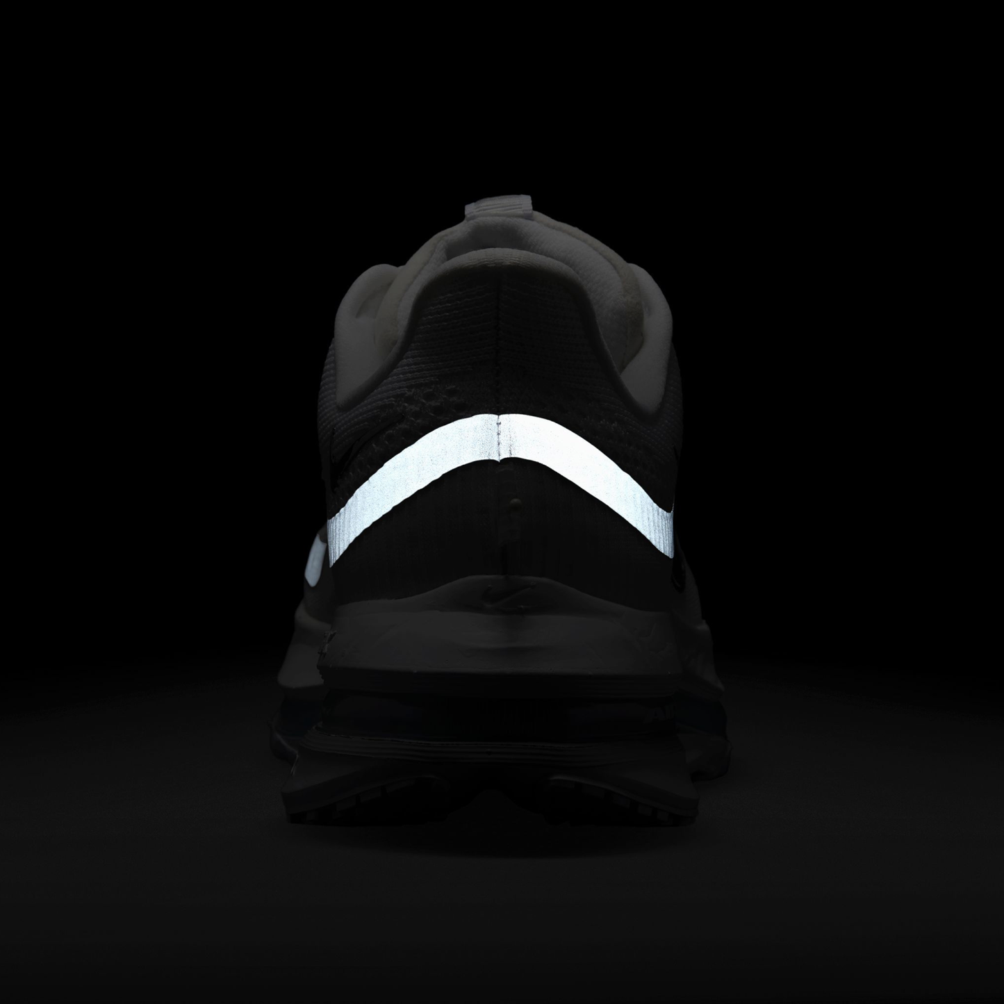Nike Pegasus Premium - Metallic Silver/White - Image 6
