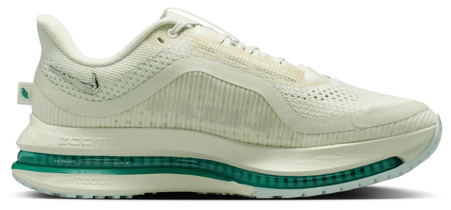 Nike Pegasus Premium - Sea Glass/Mtlc Silver/Malachite - Image 1