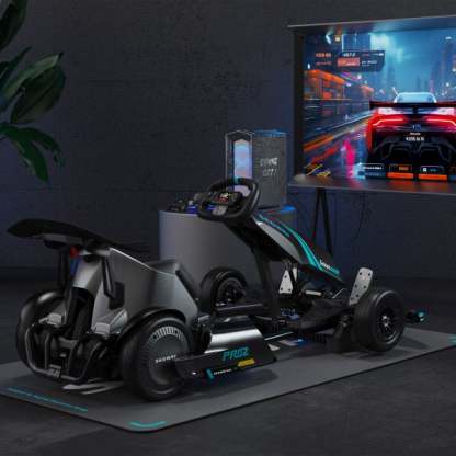 Segthtway Gokart Pro 2