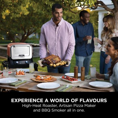 Ninthtja Woodfire Electric Oven 8-in-1 Pizza Oven
