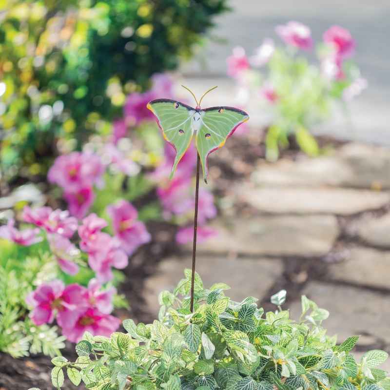 Luna Moth Stake