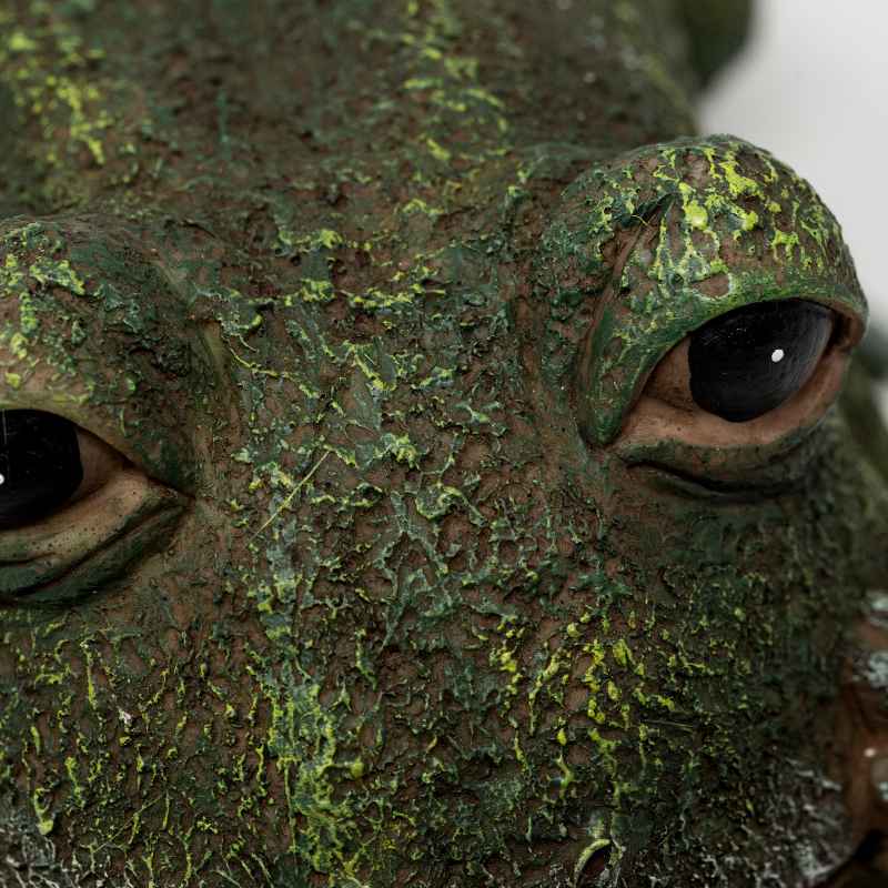 Frog Reading Solar Lighted Book Statue - View 5