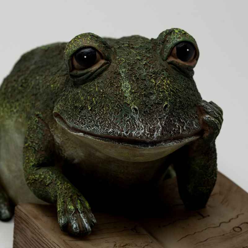 Frog Reading Solar Lighted Book Statue - View 7