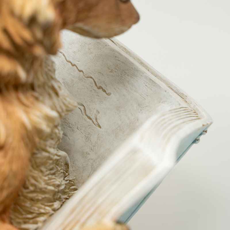 Fox Reading Book Statue - View 6