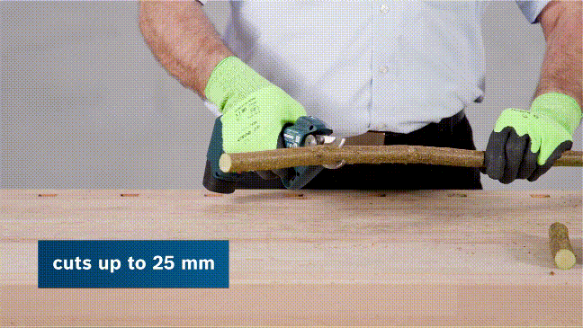 4.gif
