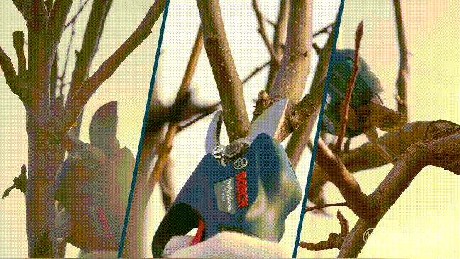 1703322122134337.gif 6.gif