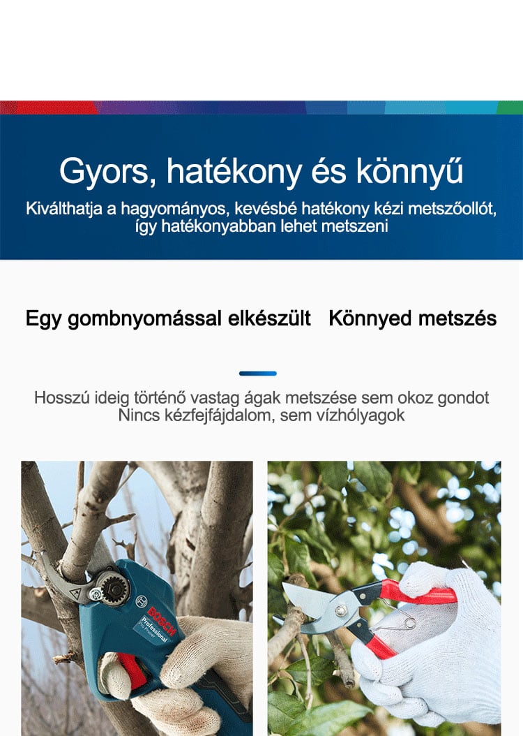 1703581850498231.jpg