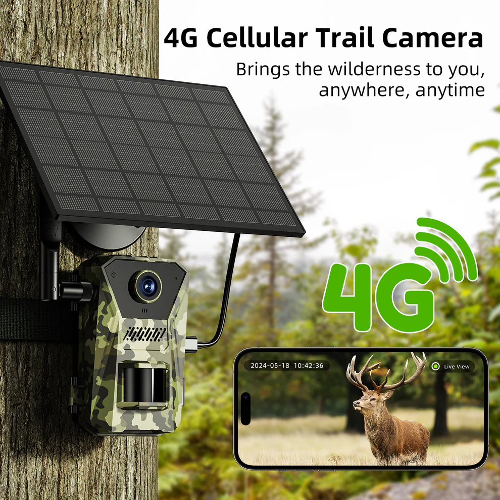 NaturePar 4G viltkamera med solcellepanel på et tre og visning på mobil