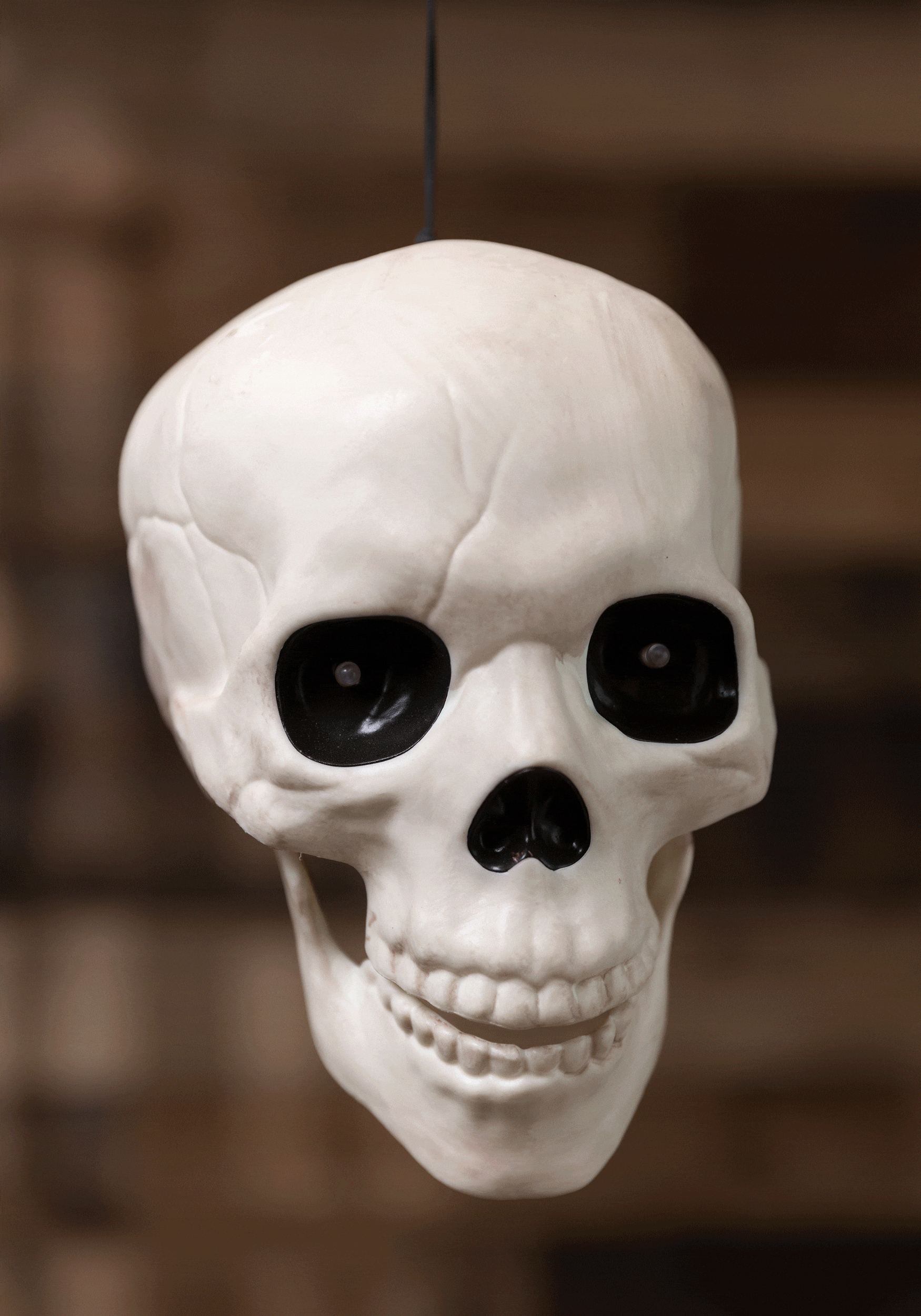 Talking Glow-in-the-Dark Skull