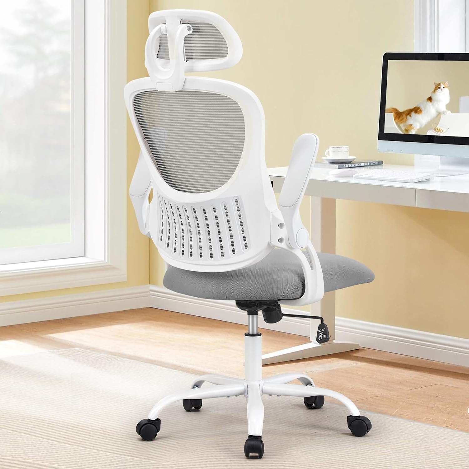 Computer Desk Chair, Mesh Office Chair with Lumbar Support