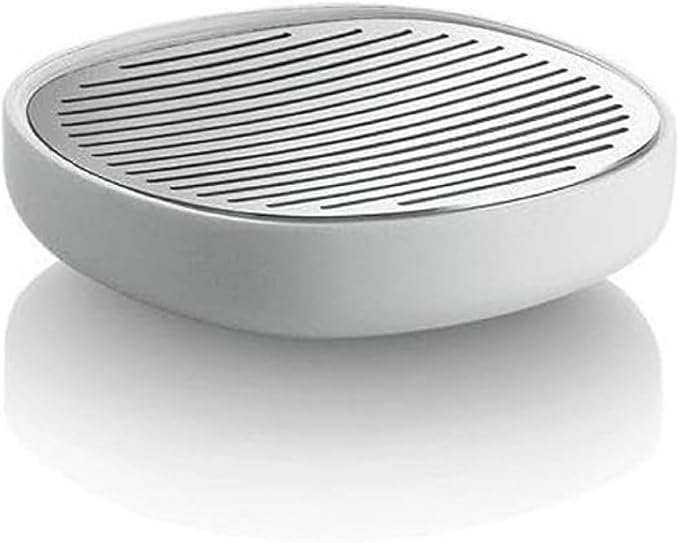Contemporary Stainless Steel & White Soap Dish