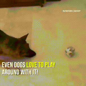 Interactive talking hamster animation