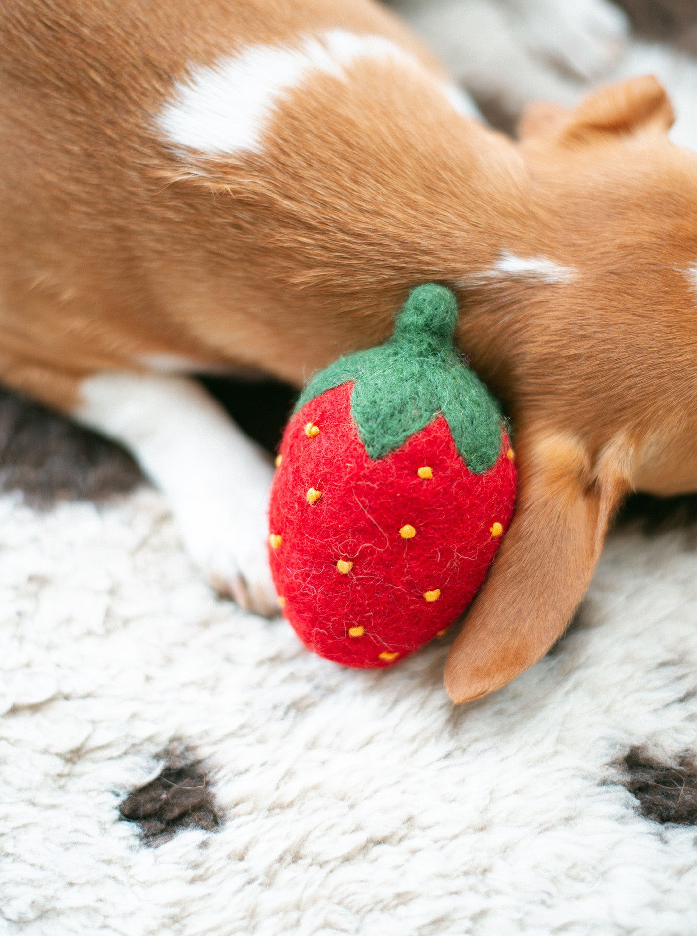 uvessa RED STRAWBERRY WOOL DOG TOY