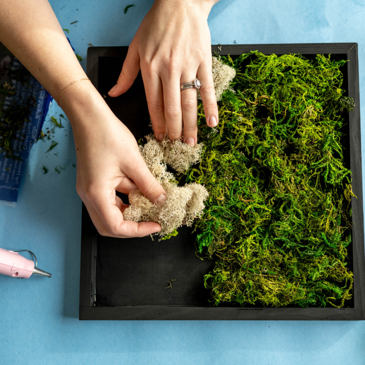 rivofind Moss Wall Kit