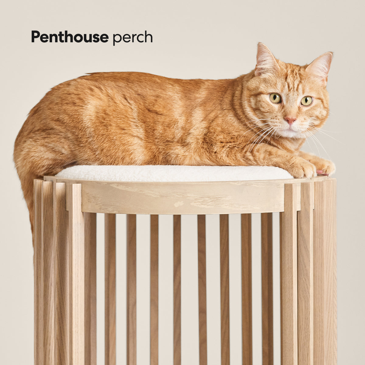 rivofind Grove Cat Tower