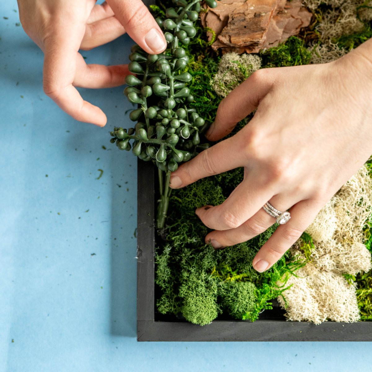 rivofind Moss Wall Kit