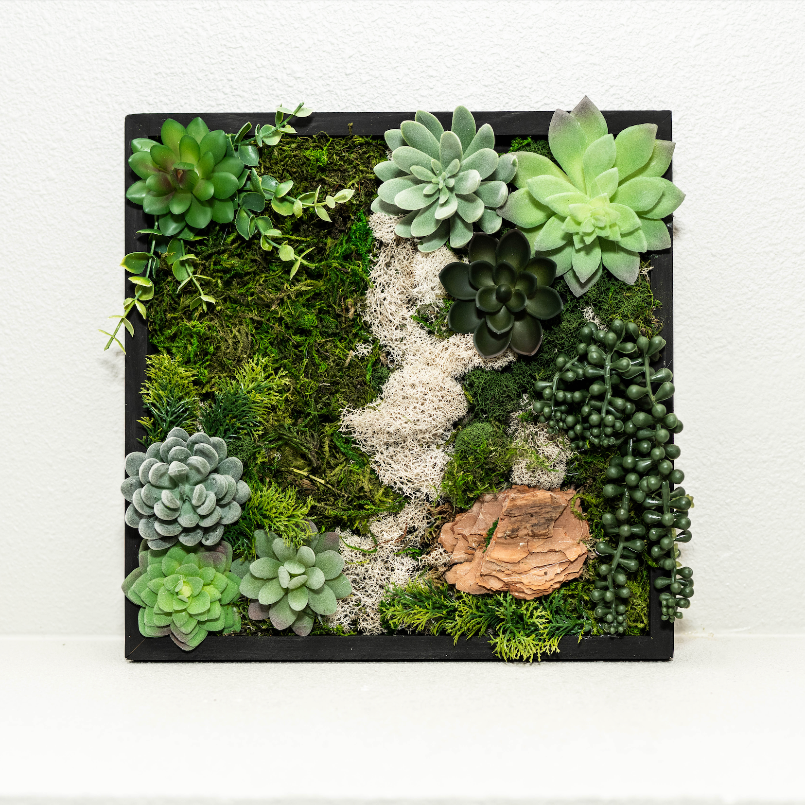 rivofind Moss Wall Kit