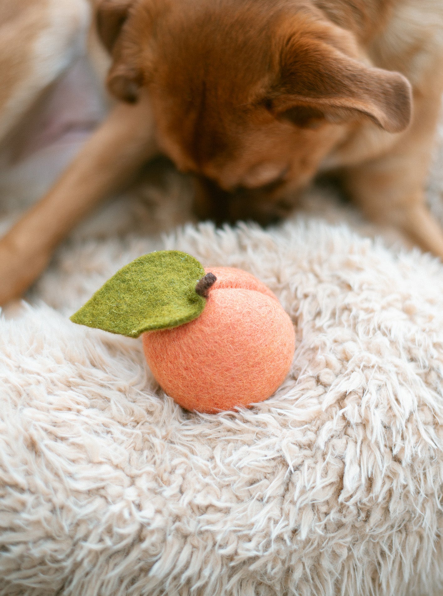 rilocove PEACH WOOL DOG & CAT TOY