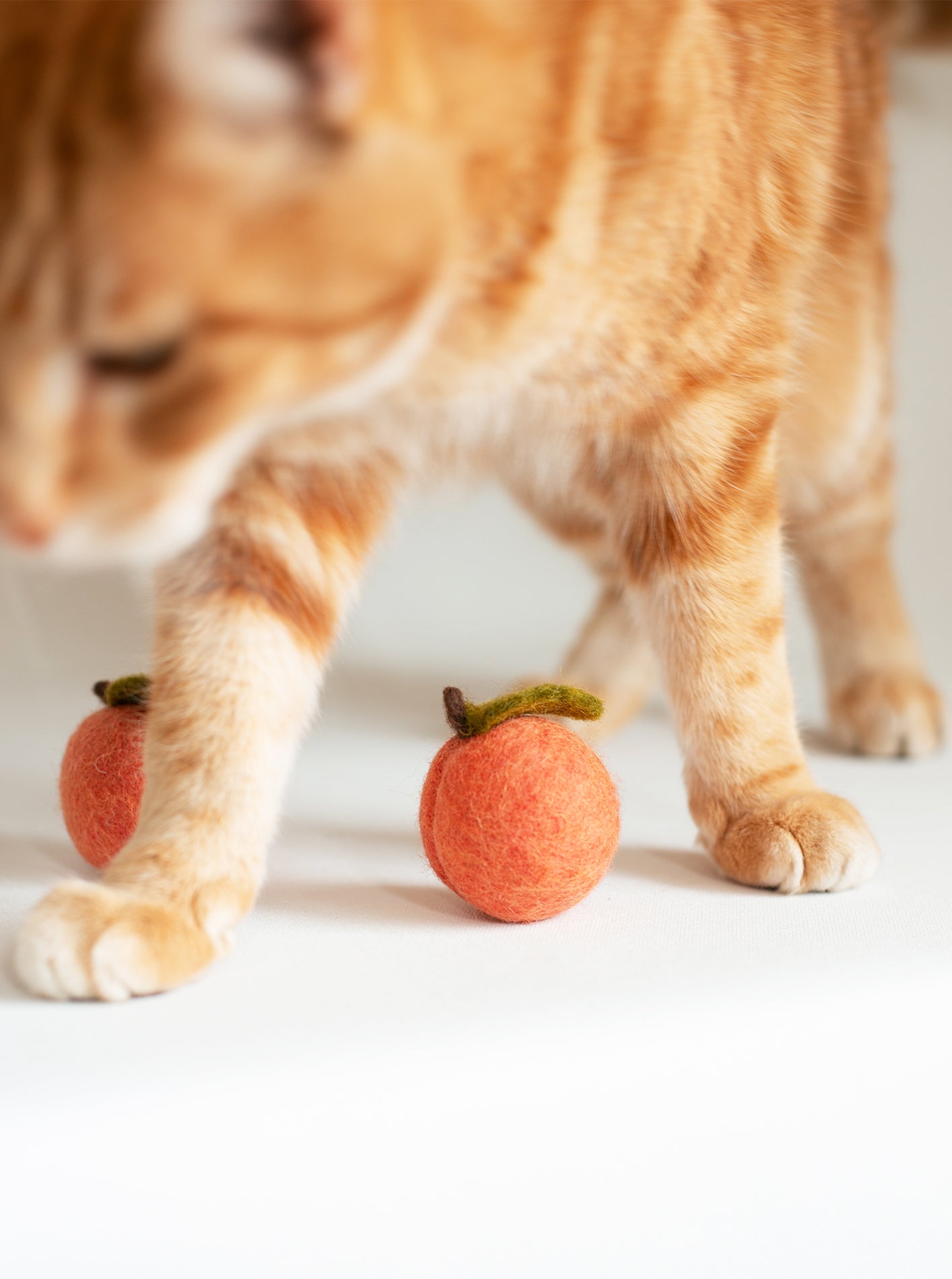 rilocove PEACH WOOL DOG & CAT TOY
