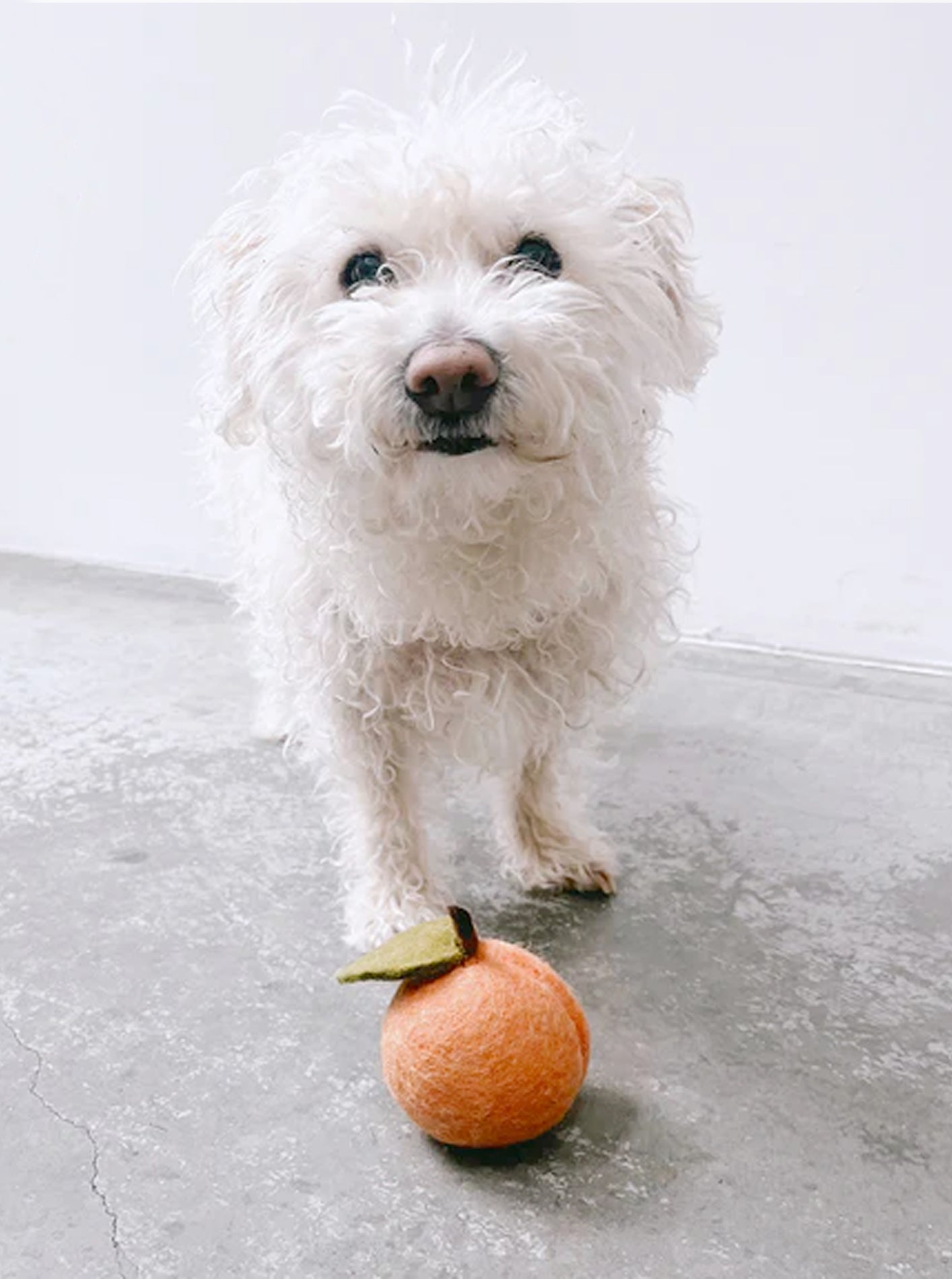 rilocove PEACH WOOL DOG & CAT TOY