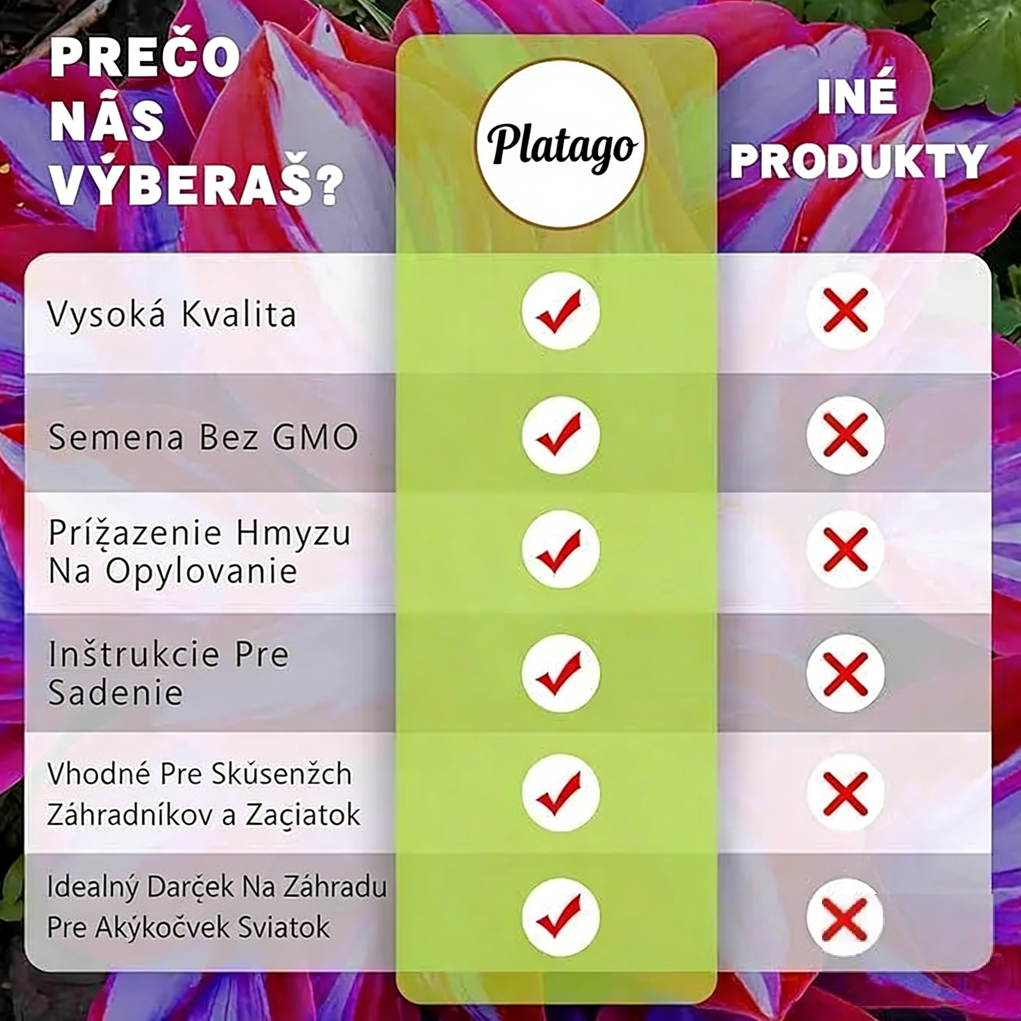 🌈 Semienka Rainbow Haze – Vneste do svojej záhrady kúzlo a farby ✨