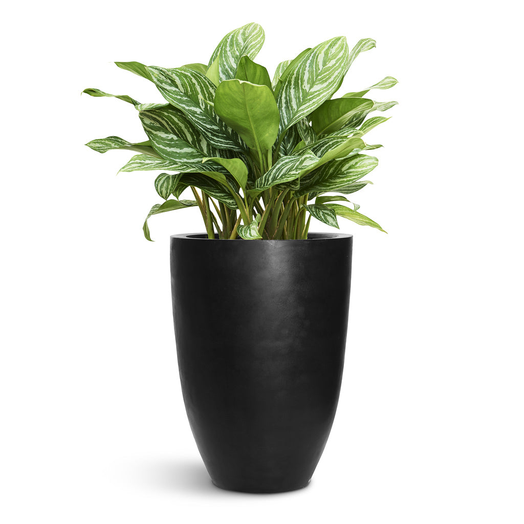 73 Dartmouth Road Ben Natural Planter Plant Stand - View 1