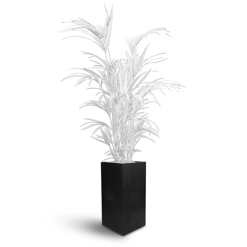 73 Dartmouth Road Bouvy Natural Planter Plant Stand - View 3