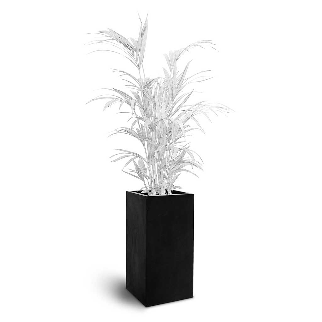73 Dartmouth Road Bouvy Natural Planter Plant Stand - View 3
