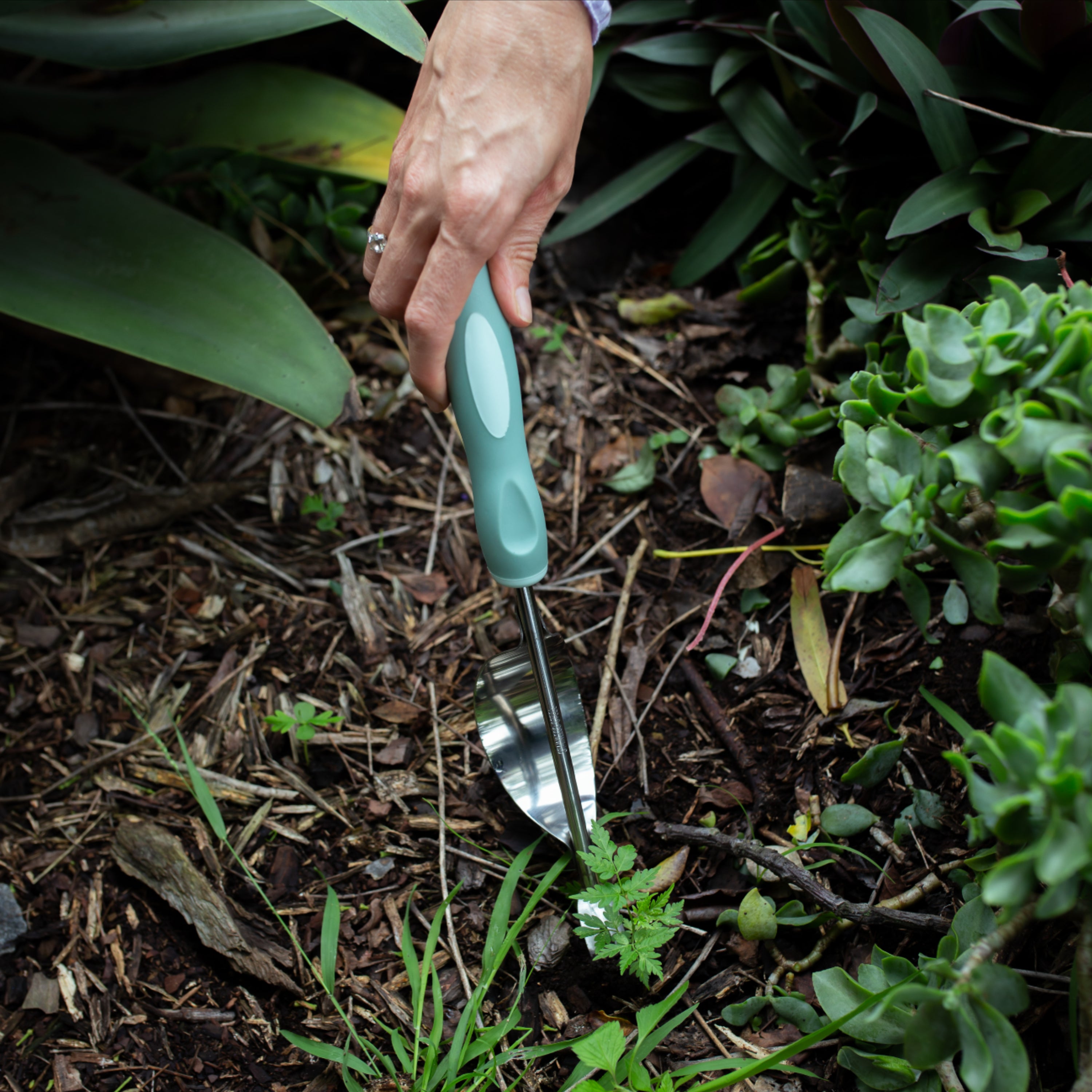 73 Dartmouth Road Garden Weeder - View 2