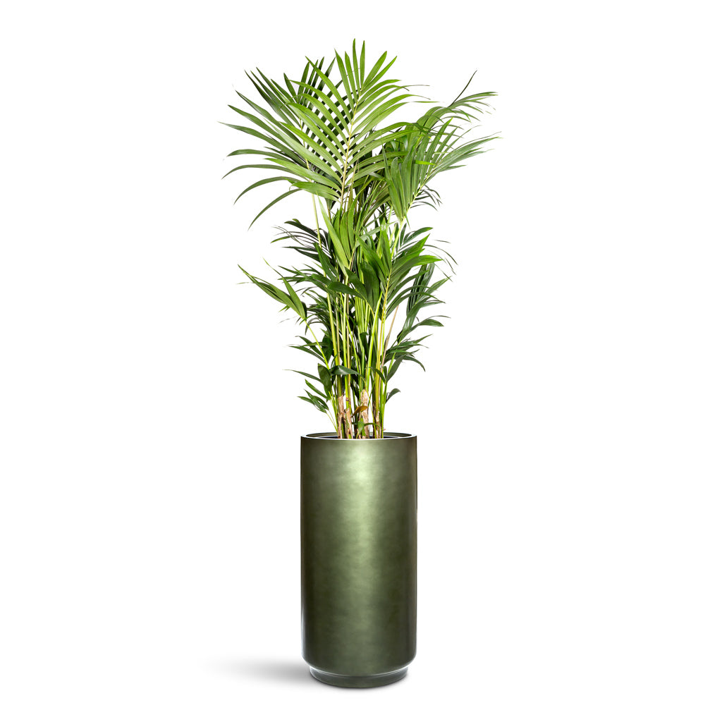 73 Dartmouth Road Gradient Cylinder Planter Plant Stand - View 1