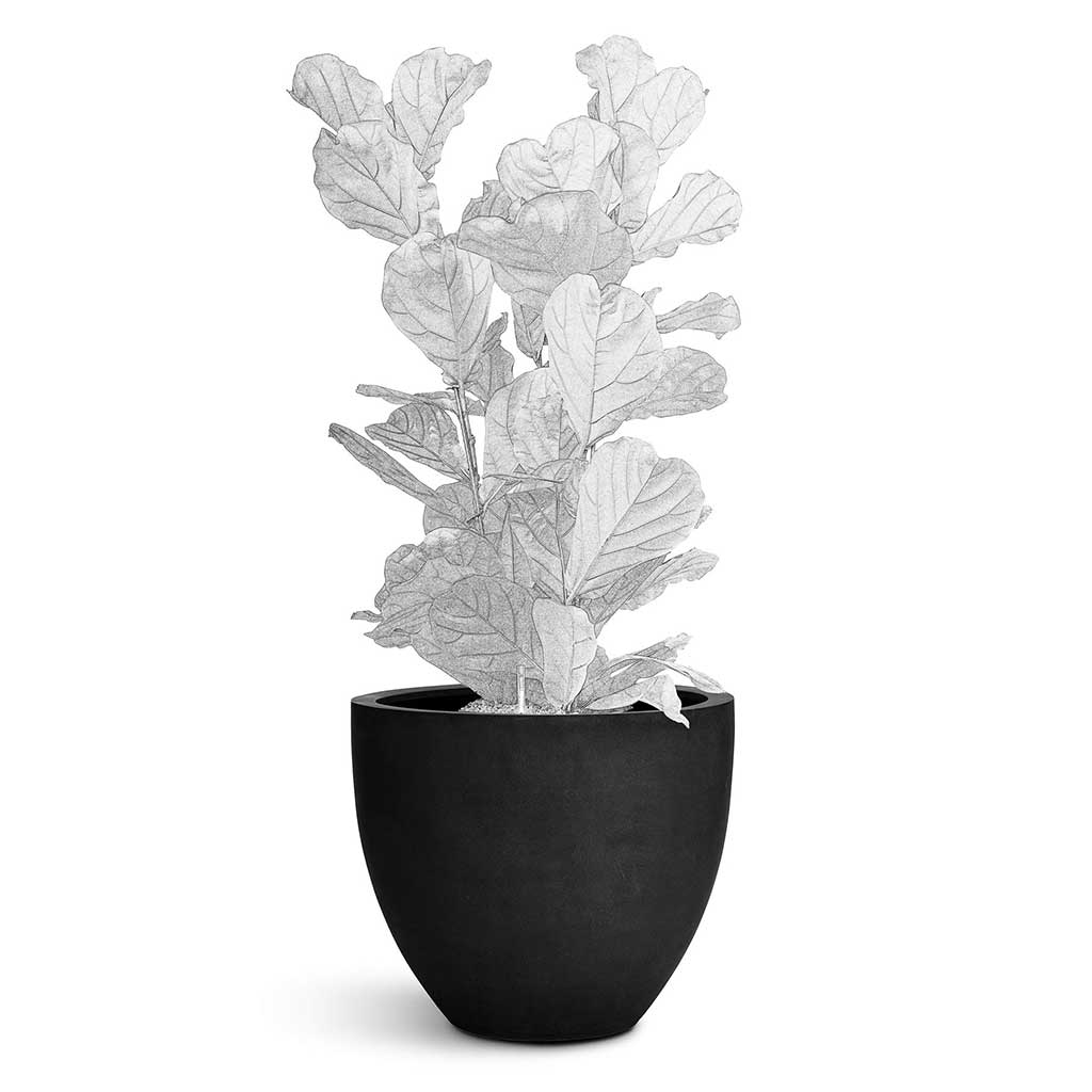 73 Dartmouth Road Jesslyn Natural Planter Plant Stand - View 3