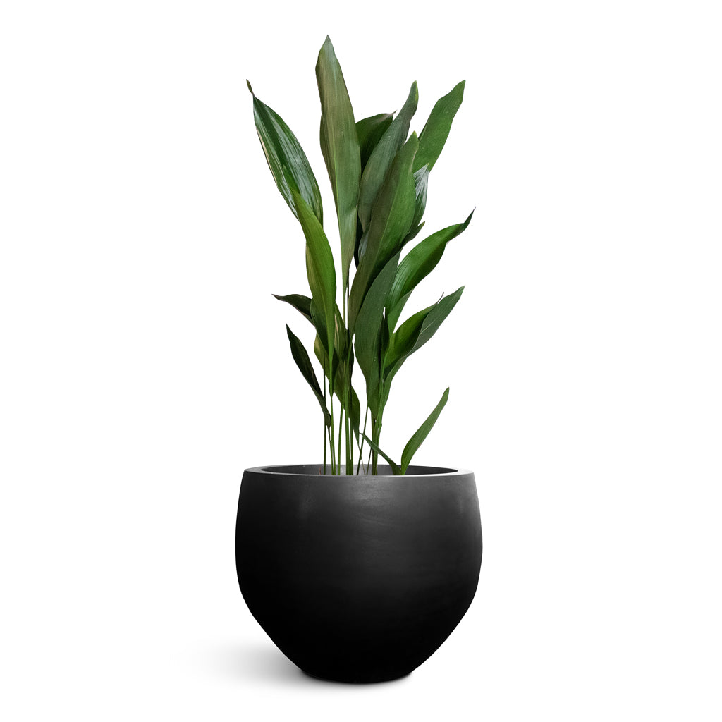 73 Dartmouth Road Orb Natural Planter Plant Stand - View 1